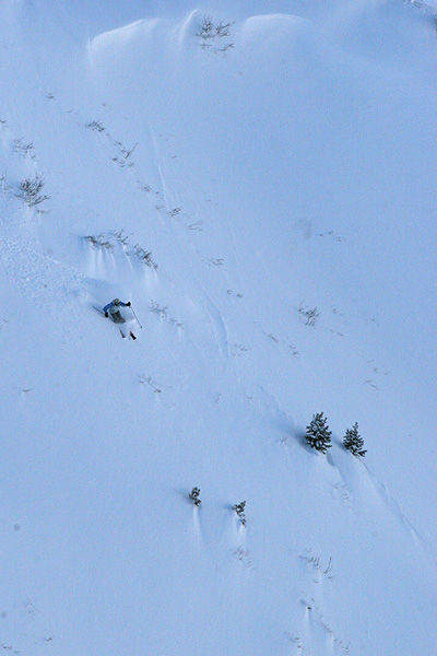 ���� ���������