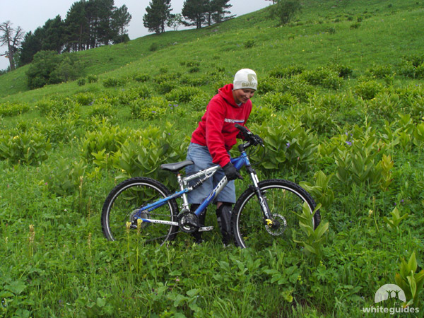 �������� ���������