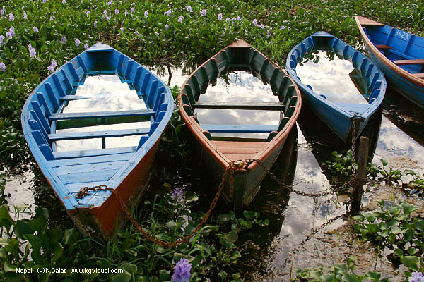 ������� - ����������� �������