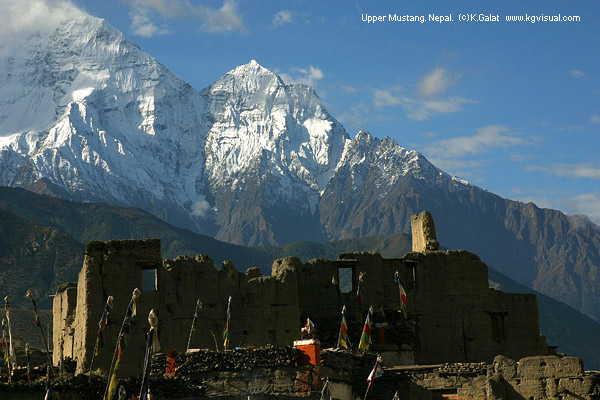 ������� �������