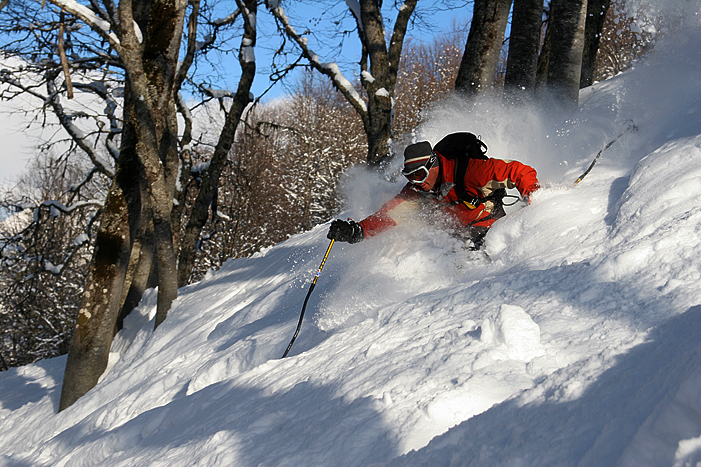 ������ ��������